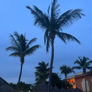 Meet your Posher, Ella